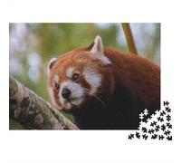 Red Panda 1000 Piece Jigsaw Puzzles for Adults Cute Little Panda Jigsaws Challenging Game Family Challenging Educational Challenge Home Decoration for Adults And Kids Age 12 Years Up 1000pcs (75x50cm)