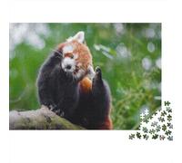 Red Panda 1000 Piece Jigsaw Puzzles for Adults Cute Little Panda Jigsaws Challenging Game Family Challenging Educational Challenge Home Decoration for Adults Gifts Ideas 1000pcs (75x50cm)