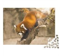 Red Panda 1000 Pieces Adult Jigsaw Puzzles Cute Little Panda Festive Gifts Family Challenging Educational Games Home Decoration for Adults Gifts Ideas 1000pcs (75x50cm)
