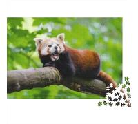Red Panda 1000 Pieces Adult Jigsaw Puzzles Cute Little Panda Festive Gifts Family Challenging Educational Challenge Home Decoration for Adults And Kids Age 12 Years Up 1000pcs (75x50cm)
