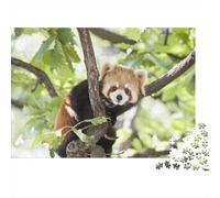 Red Panda 1000 Pieces Jigsaw Puzzles for Adults Cute Little Panda Jigsaws Challenging Game Family Challenging Educational Games Home Decoration for Adults Gifts Ideas 1000pcs (75x50cm)
