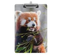 Red Panda Acrylic Clipboard with Low Profile Metal Clip School Supplies Clip Board