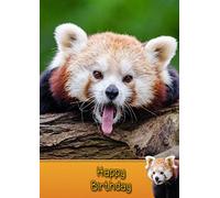 Red Panda Birthday Card