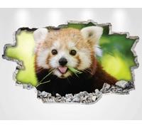 RED Panda Cute Adorable CUB Animal Bear Wall Sticker Vinyl Decal Mural Poster