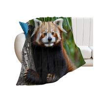Red Panda Cute Funny Throw Blanket Soft Cozy Flannel Blankets Lightweight for Home Couch Sofa Bed