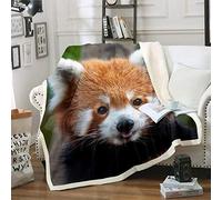 Red Panda Cute Panda Fleece Throw Blanket for Kids Boys Girls Wild Animal Decor Plush Blanket Jungle Wildlife Style for Sofa Bed Couch,Double 60x79 Inches …