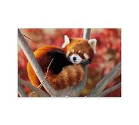 Red Panda Cute Wild Animals Poster Canvas Wall Decor Art Painting Prints on Modern Artwork for Living Room,Bathroom,Bedroom,Home 12x18inch(30x45cm)