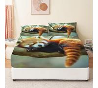 Red Panda Fitted Sheet Double Bed Cute Animals 3D Fitted Sheets Deep Pocket 12 inch 30 cm Bottom Sheet Ultra Soft Microfibre Bedding Set with 2 Pillowcases a.303