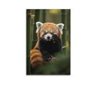 Red Panda in Bamboo Forest Wall Art, Forest Decor, Home Poster Artistic Wall Mural Modern Hanging Decor Poster24x36inch(60x90cm)