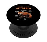 Red Panda Lover Animal Anatomy Of A Red Panda PopSockets Adhesive PopGrip