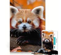 Red Panda on Branch in Autumn 1000 Pieces Jigsaw Puzzles for Adults Improve Memory Peaceful Fun Sharp Edge (50x75cm)