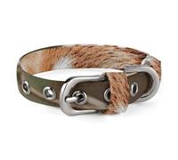 Red Panda on Tree Branch Dog Collar for Small Medium Dogs Breakaway Cute Kitten Cat Collar Soft Adjustable Dog Collars with Safety Buckle,Pet Accessories for Walking Running