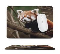 Red Panda on Tree Branch Mouse Pad with Stitched Edge Mousepad Non-Slip Rubber Base Mouse Mat for Laptop Computer 2 Cute Computer Mouse Pads for Office Gaming Home
