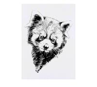 'Red Panda Portrait' Temporary Tattoo - Water Resistant, Skin-Safe, Non-Toxic Transfer (TO00085683)