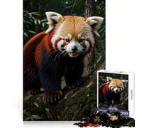 Red Panda Wildlife Hard Jigsaw Puzzle for Adults 1000 Pieces Fine Logic Toy Calm Fun Neat Edge Thoughtful Gift (50x75cm)