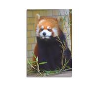 Red Panda with Bamboo Wall Art, Nature Decor, Home Poster Artistic Wall Mural Modern Hanging Decor Poster24x36inch(60x90cm)