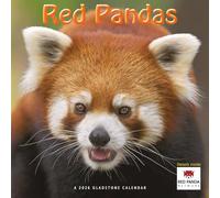 Red Pandas Calendar 2026, Wall Calendars, Month To View, Animals, Gift