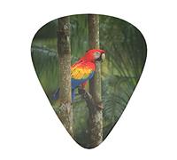Red parrot scarlet macaw 12-Pack Guitar Picks, Includes Thin, Medium & Heavy Gauges 3 Sizes for Guitar Electric Acoustic Picks