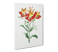 Red Peruvian Lily Flowers Vintage Canvas Wall Art Print Ready to Hang, Framed Picture for Living Room Bedroom Home Office Décor, 20x14 Inch (50x35 cm)