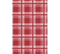 Red Plaid Diary (Anne Frank design): 5x8 Journal notebook 200 lined pages