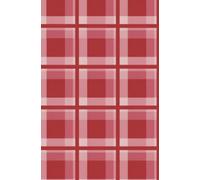 Red Plaid Diary (Anne Frank design): 5x8 Journal notebook 200 lined pages
