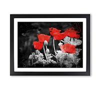 Red PModern OPpy Field Flowers No.7 Modern CB Framed Wall Art Print, Ready to Hang Picture for Living Room Bedroom Home Office Décor, Black A4 (34 x 25 cm)