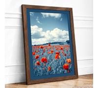 Red Poppies at Horizon Botanical Framed Wall Art Print A1 (84.1×59.4cm) Walnut, Wall Decor for Living Room, Bedroom, Office & Home, Ready to Hang, Art Gift