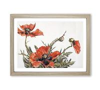 Red Poppies By Charles Demuth Classic Painting Framed Print | A2 Oak Framed Wall Art | Ready to Hang | Classic Historical Picture | Living Room Bedroom Lounge Office