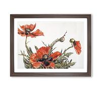 Red Poppies By Charles Demuth Classic Painting Framed Print | A2 Walnut Framed Wall Art | Ready to Hang | Classic Historical Picture | Living Room Bedroom Lounge Office