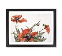 Red Poppies By Charles Demuth Classic Painting Framed Print | A4 Black Framed Wall Art | Ready to Hang | Classic Historical Picture | Living Room Bedroom Lounge Office