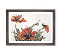 Red Poppies by Charles Demuth Framed Print | A2 Walnut Framed Wall Art | Ready to Hang | Modern Nature Picture | Living Room Bedroom Lounge Office