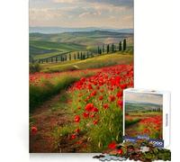 Red Poppies Tuscany 1000 Pieces Jigsaws Adults Puzzles Think Smart Toy Home Activity Smooth Cut Xmas Surprise (38x52cm)