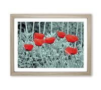 Red Poppy Field Flowers No.6 Modern Framed Wall Art Print, Ready to Hang Picture for Living Room Bedroom Home Office Décor, Oak A2 (64 x 46 cm)