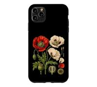 Red Poppy Plant Morphology Botanical Capsule Plate Case for iPhone 11 Pro Max