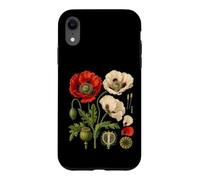 Red Poppy Plant Morphology Botanical Capsule Plate Case for iPhone XR