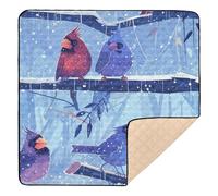 Red Purple Northern Birds Large Sturdy Baby Playmat for Indoor Outdoor Water Resistant Padded Baby Mat for Babies Infants Toddlers, 50'' x 50''