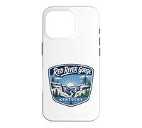 Red River Gorge Kentucky Hiking Outdoor Adventure Nature Case for iPhone 16 Pro