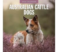 Red Robin 2026 Australian Cattle Dogs Monthly Wall Calendar | 12" x 24" Open | Premium Thick & Sturdy Paper | Hangable 12 Month Calendar | Lined Notes & To Do Area | Vivid Images | Plastic Free