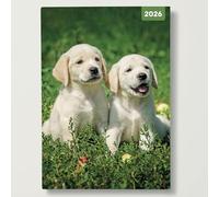 Red Robin 2026 Dogs & Puppies Weekly Planner, A5 Padded 8 1/2" x 6" | Premium Thick & Sturdy Paper | Full Week View | Plastic Free
