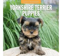 Red Robin 2026 Yorkshire Terrier Puppies Monthly Wall Calendar | 12" x 24" Open | Premium Thick & Sturdy Paper | Hangable 12 Month Calendar | Lined Notes & To Do Area | Vivid Images | Plastic Free