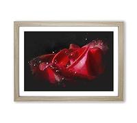 Red Rose Flower Vol.1 Paint Splash Framed Print | A2 Oak Framed Wall Art | Ready to Hang | Modern Floral Picture | Living Room Bedroom Lounge Office