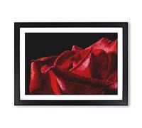 Red Rose Flower Vol.1 Painting Framed Print | A2 Black Framed Wall Art | Ready to Hang | Modern Floral Picture | Living Room Bedroom Lounge Office