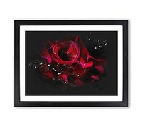 Red Rose Flower Vol.3 Paint Splash Modern Art Framed Wall Art Print, Ready to Hang Picture for Living Room Bedroom Home Office Décor, Black A3 (46 x 34 cm)