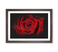 Red Rose Flower Vol.5 Paint Splash Framed Print | A2 Walnut Framed Wall Art | Ready to Hang | Modern Floral Picture | Living Room Bedroom Lounge Office