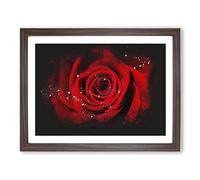 Red Rose Flower Vol.5 Paint Splash Modern Art Framed Wall Art Print, Ready to Hang Picture for Living Room Bedroom Home Office Décor, Walnut A2 (64 x 46 cm)