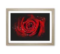 Red Rose Flower Vol.5 Paint Splash Modern Art Framed Wall Art Print, Ready to Hang Picture for Living Room Bedroom Home Office Décor, Oak A2 (64 x 46 cm)