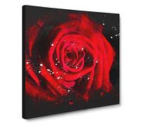Red Rose Flower Vol.6 Paint Splash Canvas Print | Gallery Wrapped 30mm Frame Wall Art | 14x14 inches | Ready to Hang | Modern Floral Picture | Living Room Bedroom Lounge Office