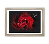 Red Rose Flower Vol.6 Paint Splash Framed Print | A2 Oak Framed Wall Art | Ready to Hang | Modern Floral Picture | Living Room Bedroom Lounge Office