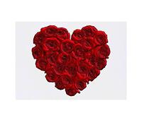 'Red Rose Heart' Temporary Tattoo - Water Resistant, Skin-Safe, Non-Toxic Transfer (TO00046060)