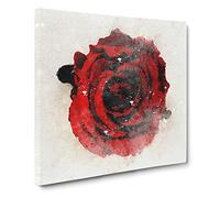 Red Rose in Bloom Canvas Print | Gallery Wrapped 30mm Frame Wall Art | 14x14 inches | Ready to Hang | Abstract Floral Picture | Living Room Bedroom Lounge Office